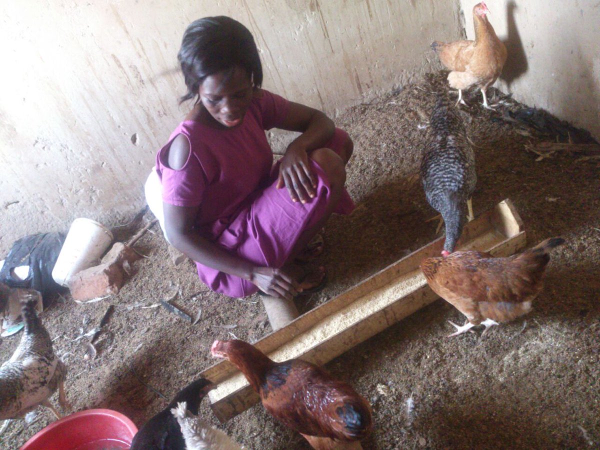 wellsofhope's tweet photo. Through the Economic Empowerment program, more caregivers of children with imprisoned parents have started income generating activities.
#betterlivelihoods #sdg1 https://t.co/YK0Z7ty1xU