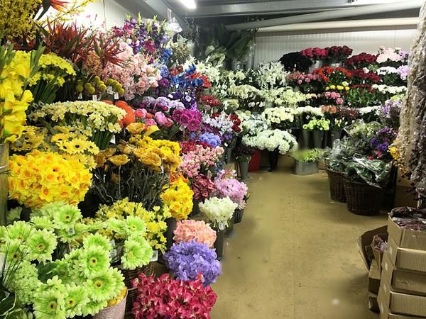 #Brexit makes it more expensive to say it with flowers: ow.ly/YQ5U50Dwiig #Freshtalk #CutFlowers #supplychain <a href="/NigelFpc/">Nigel Jenney</a> <a href="/tombrownflowers/">Tom Brown Wholesale</a>