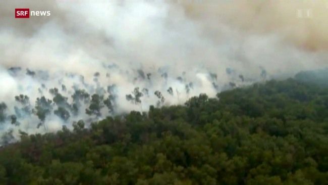 bmfonds's tweet photo. "Palmöl ist die Hauptursache für die Regenwaldzerstörung in Südostasien." Unsere Palmöl-Expertin Johanna Michel spricht Klartext im 10vor10. Wem der Regenwald und die Menschenrechte am Herzen liegt, empfehlen wir ein klares NEIN am 7. März.
#stoppalmöl 
https://t.co/iyjKMnnlhD https://t.co/l9hLsPEvav