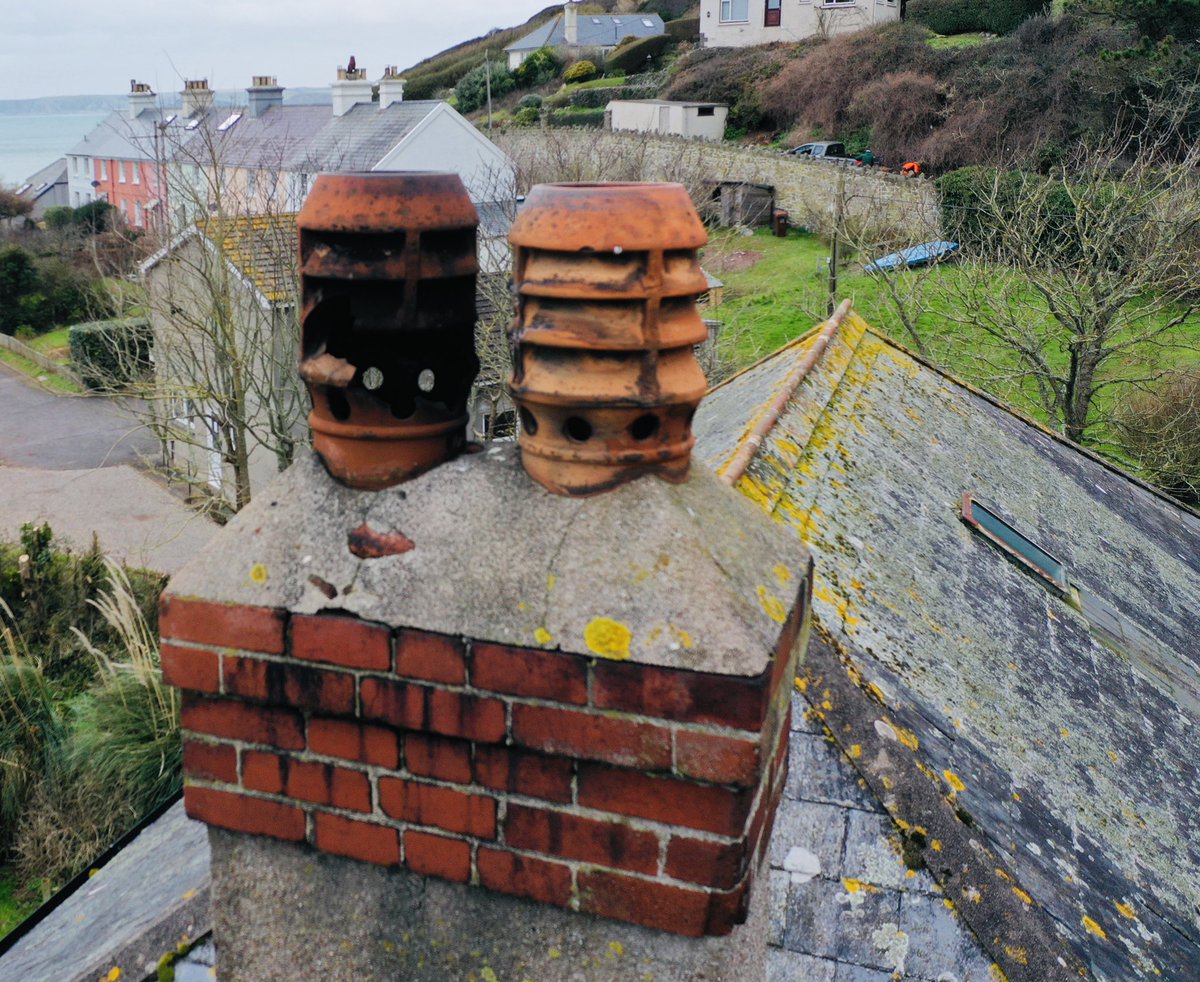 Image Three Sixty tweet media