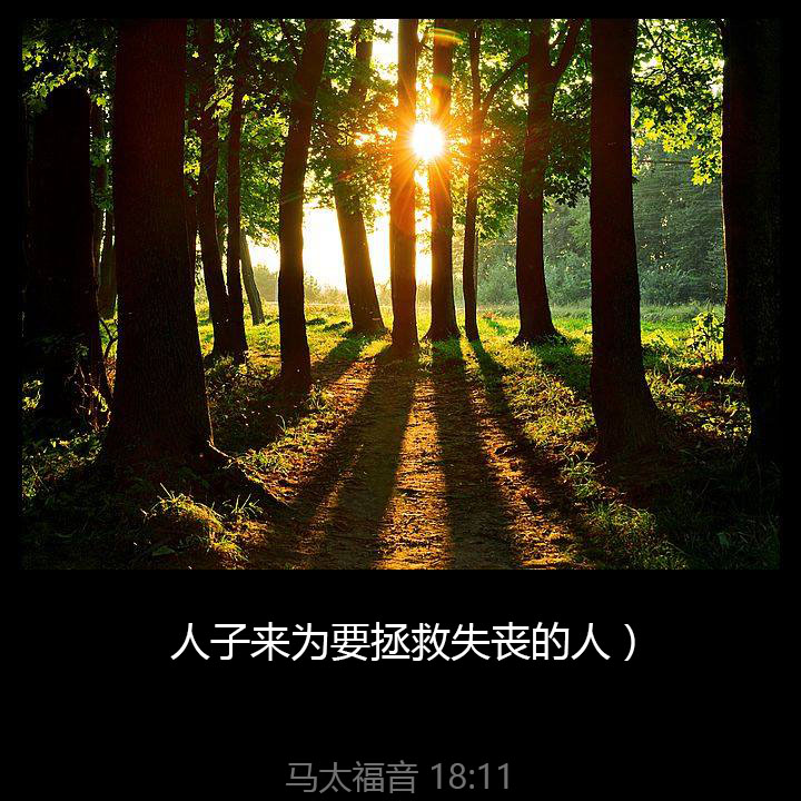 Oct7th2015China's tweet photo. 人子来为要拯救失丧的人） https://t.co/iyMoRmkiiZ