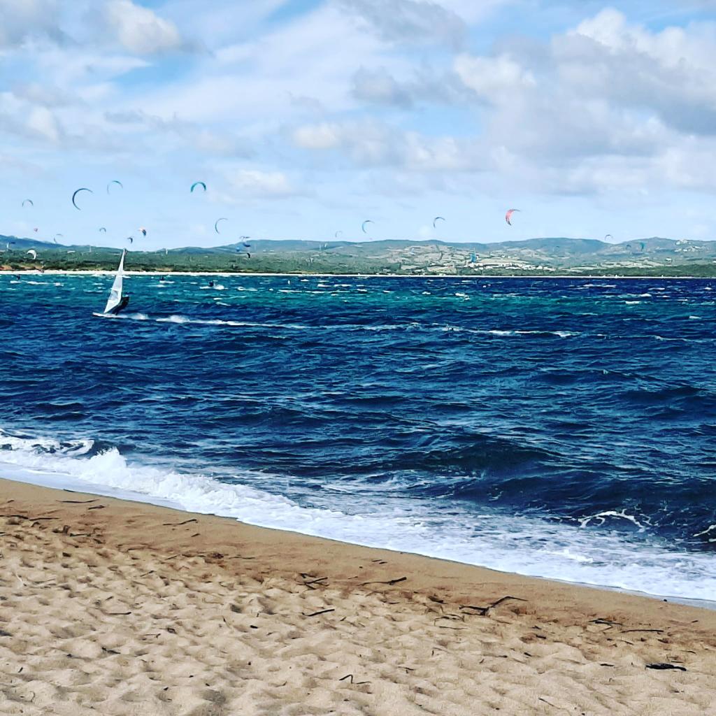 Buon mercoledì da #palau #windsurfing a #portopollo #palau #sardegna #estate2021 #solesardegna  @igers_sardegna @viaggioinsardegna @Gotouristsardegna @Sardegnaturismo @sardegna_di @portalesardegn #travelphotography #travelgram #instagram 
@sardanews #helloolbia @VentoDiSardegna