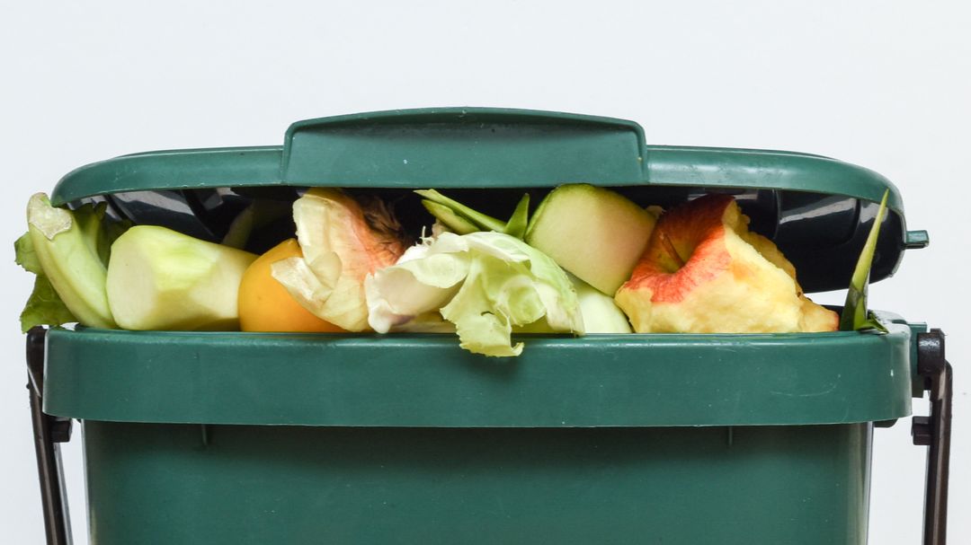 outofdate_uk's tweet photo. 🥦🍗🍌 A large amount of the food every one of us buys ends up in the bin – and it took a LOT of environmental resources to produce it. 🌍

Visit our https://t.co/rUPgLJlXhC to learn eye-opening facts on what’s really going into what’s on (or off) your plate. 🍽️ #StopWastingFood https://t.co/MZ71LxhFfA