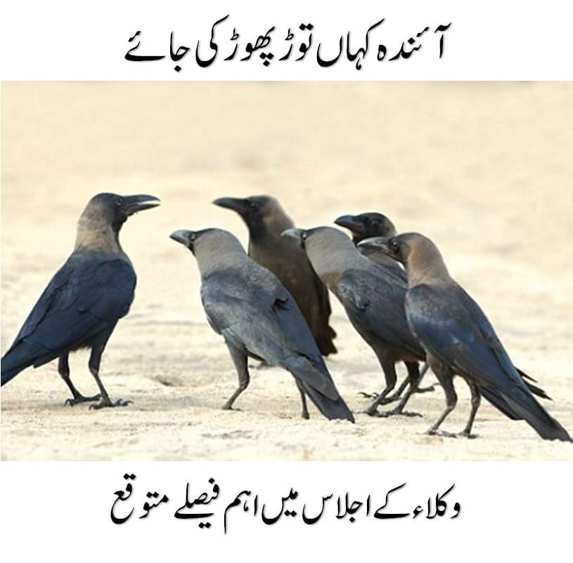 Razarumi's tweet photo. نو کمنٹس https://t.co/NuGzE0AlhT