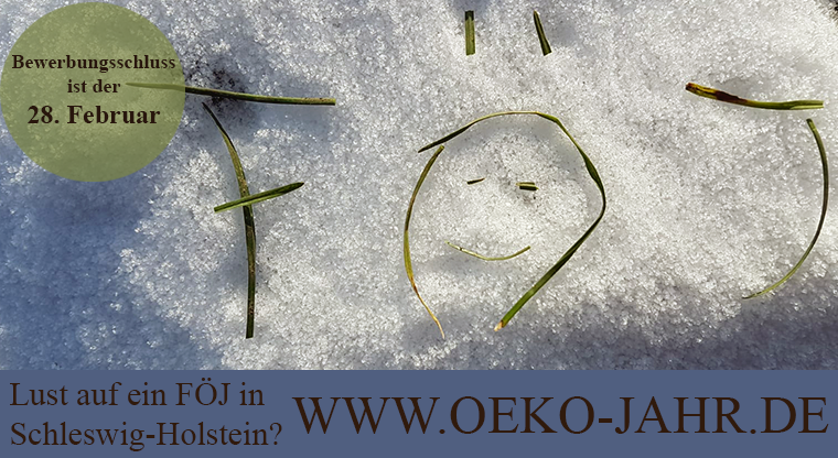 Du willst Dich für Natur und Umwelt engagieren und Einblicke in verschiedene Berufsfelder erhalten? Dann bewerbe Dich für einen ökologischen #Freiwilligendienst in #Schleswig-Holstein!  #FÖJ #ÖBFD oeko-jahr.de