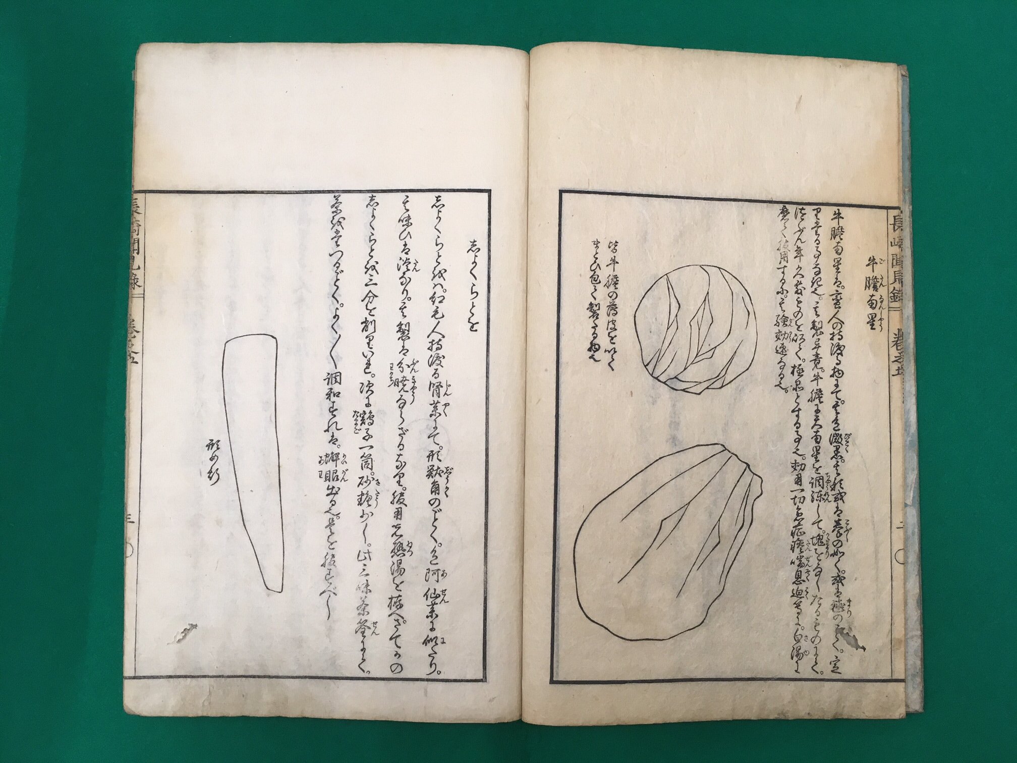 京都府立京都学・歴彩館 on X: 京都府立京都学・歴彩館 on X: