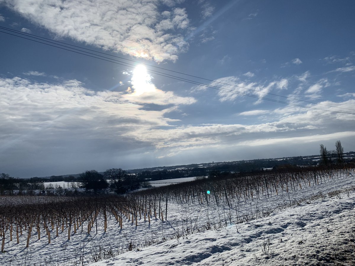 Côté d’A12 

Vineyards overlooking the Dedham Vale