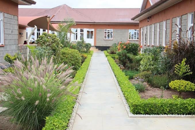 DelfinTours's tweet photo. We got endless discoveries.
Here is Enchula resort in Kajiado
Kes 7,840 per person sharing
Book with us by calling 0782 051999 or email info@delfintours.co.ke
#kajiadocounty #enchula #valentines https://t.co/wmChUj1HME