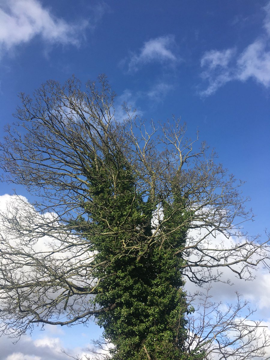 dcpten_involved's tweet image. ⁦@WcbScience⁩ for Arty K Y8