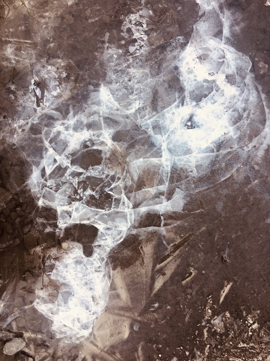 dcpten_involved's tweet image. ⁦@WcbScience⁩ for Arty K Y8