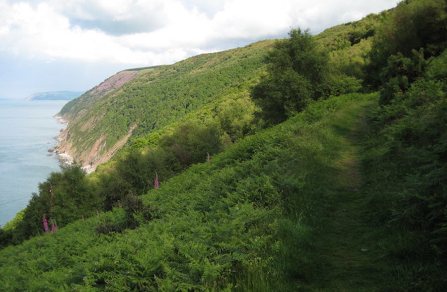 BowerlandDevon's tweet photo. This week's Wednesday Walk takes us to the picturesque hamlet of Countisbury, on the northern shoreline of Exmoor in North Devon.
Read more: https://t.co/opBzNzhJGS
#WedsWalks #Countisbury
Photo by Philip Halling | CC BY-SA 2.0 | Wikimedia Commons https://t.co/8flJUVZt5W