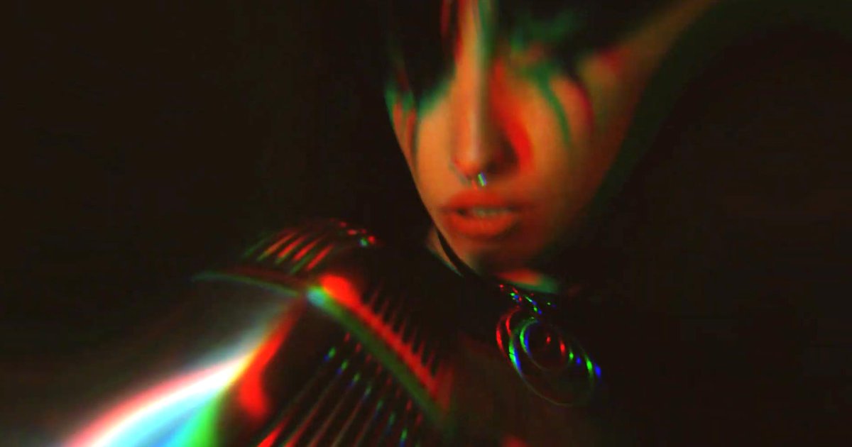 laestadea tweet media