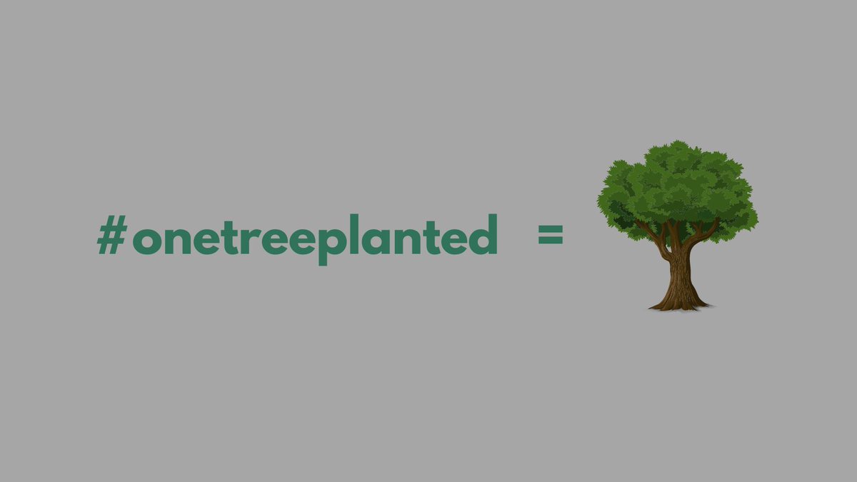Twostay1's tweet photo. 🌱 #onetreeplanted #letsdrawthechange #ourplanetweek @onetreeplanted @orlandoasia_ https://t.co/78VwvPIrVz