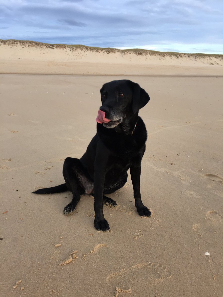 Julien Courbet tweet media