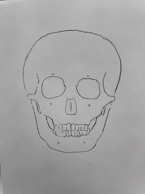仕事で必要に駆られて仕方なく頭蓋骨描くんだけど(歯適当でごめんなさい)、頭蓋骨も解剖分かれば簡単にすぐ描けるのでみんな解剖勉強しようぜって思いながら描いてる。
お絵描きに必要な解剖抜粋した頭蓋骨の解説とか需要あるやろか…? 