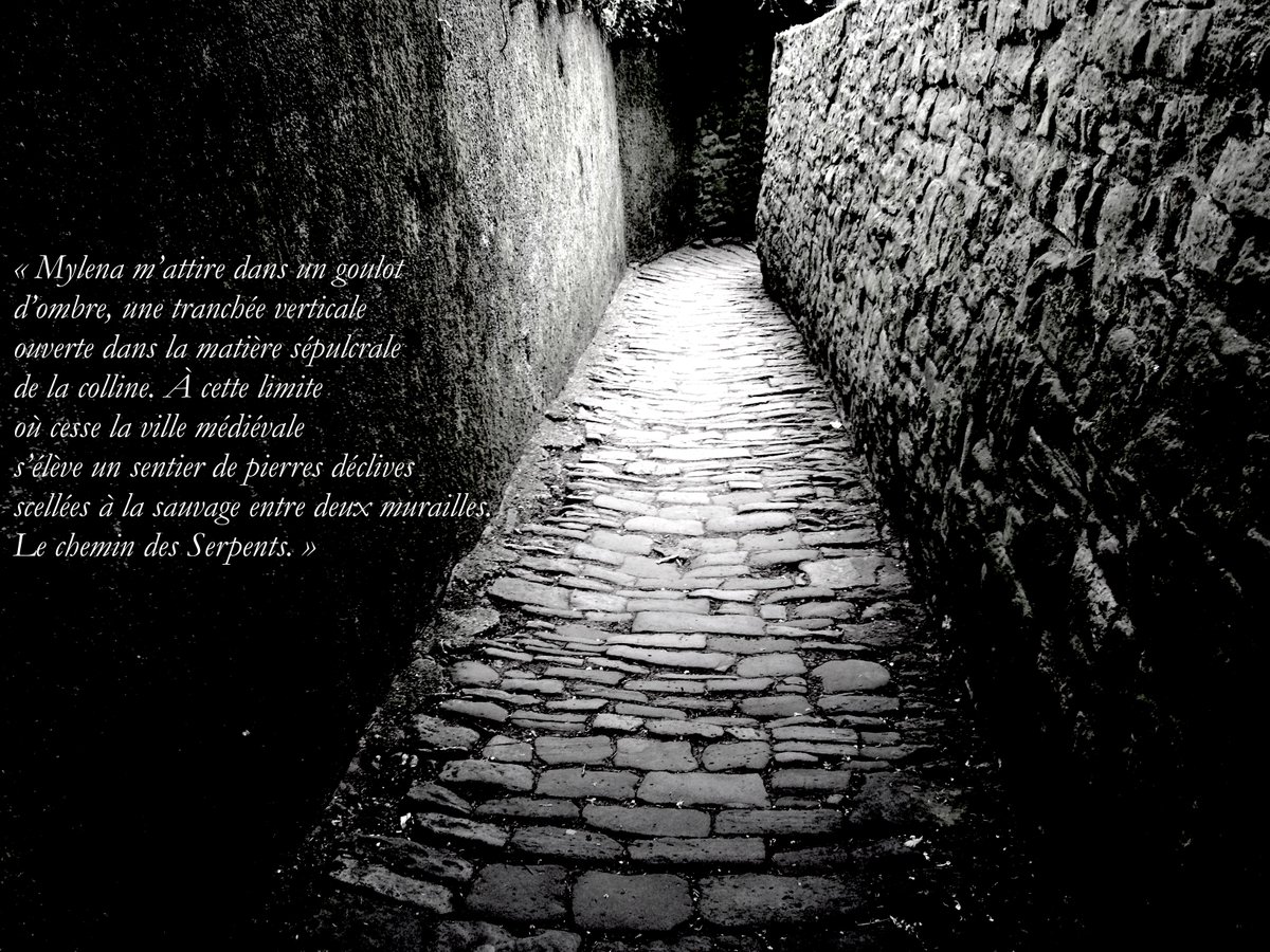 " Cavalier noir " Philippe Bordas. Éditions Gallimard.