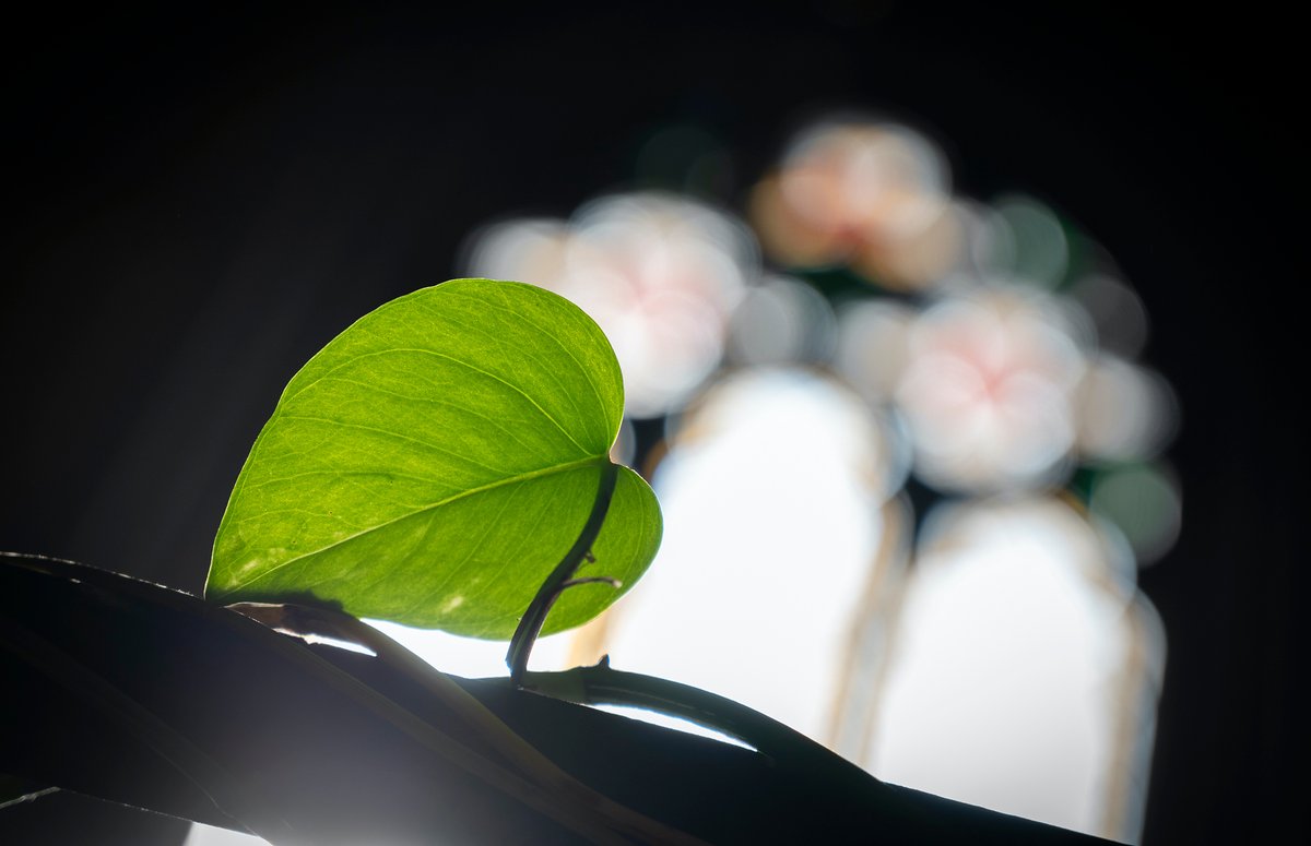 Nu pågår planeringen för fullt inför Ideellt forums Idédag 2021.  Boka in lördag den 9 oktober 2021 i din kalender. Tema, medverkande och programpunkter kommer att släppas allteftersom under våren.
#ideellkyrka #idédagen2021