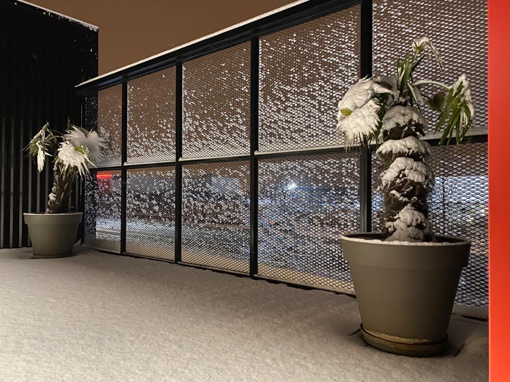 Quand la neige s'invite en Bretagne et plus précisément à <a href="/VallonDelSol/">Vallon Del Sol</a> pour le plaisir de tous !!! ☃️❄️
Bonne journée 😃

#neige #GoodVibes