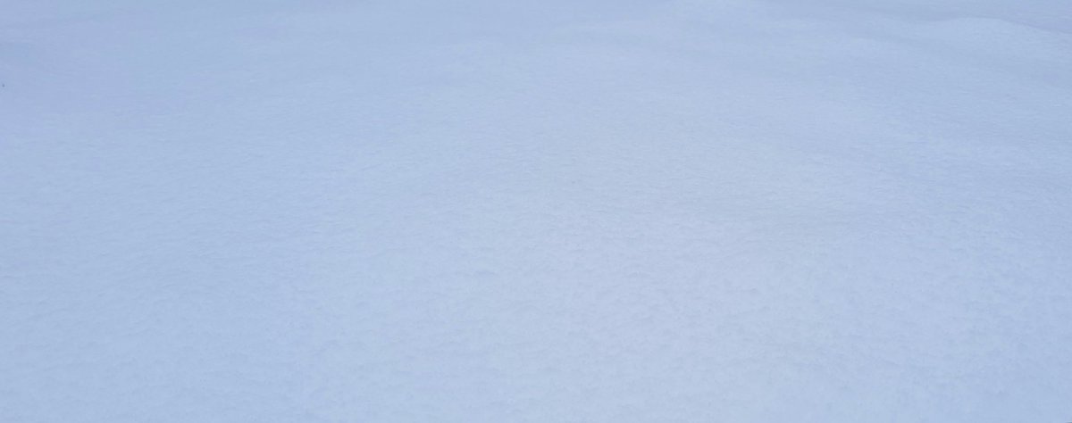 Patrick Baker Word Of The Day Yuki Akari Meaning Snow Light In Japanese Describing The Brightness That Come From Snow