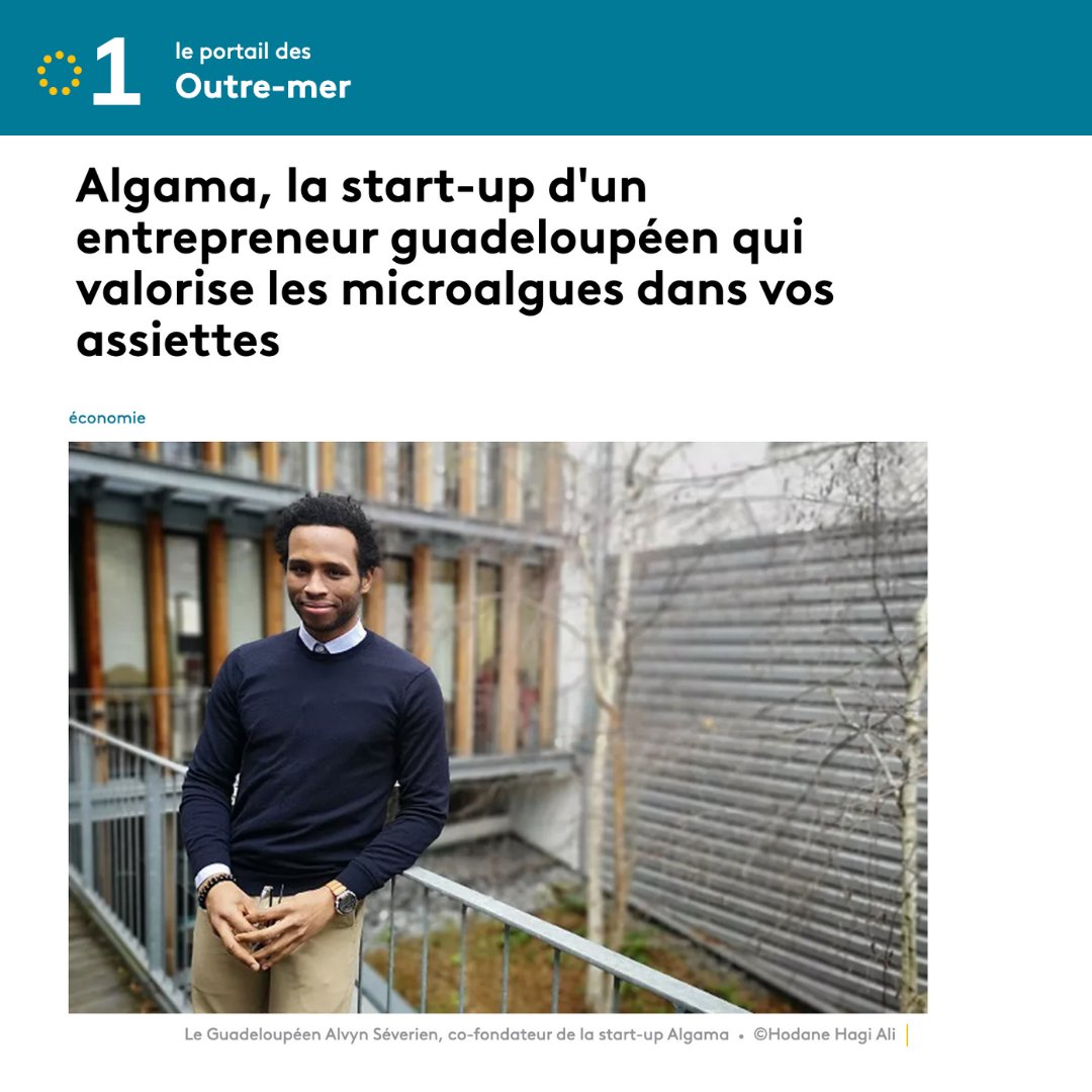 ALGAMA Ⓥ tweet media