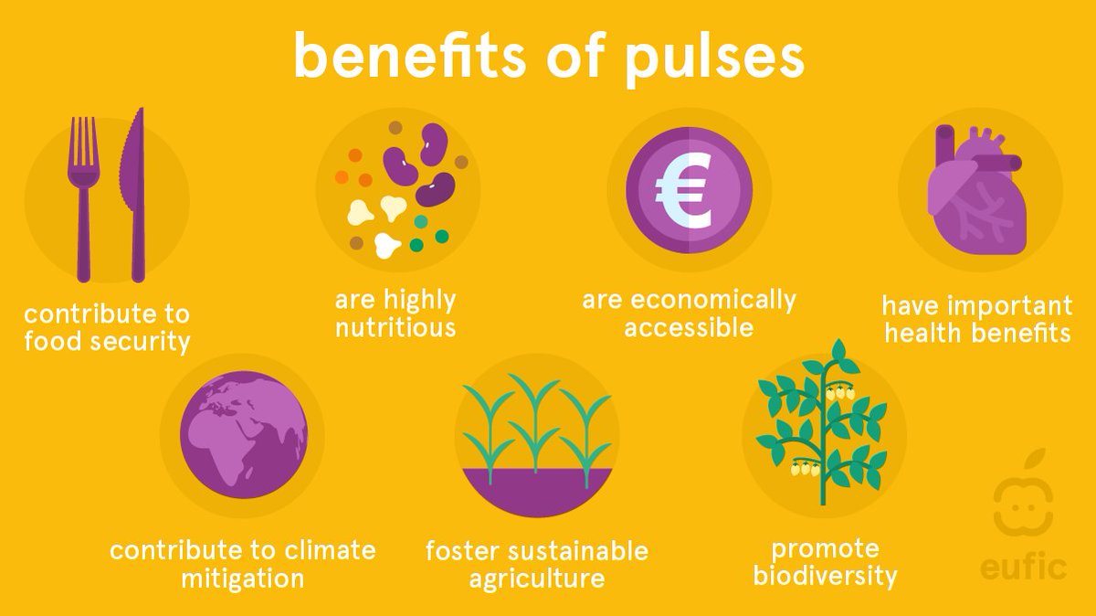 European Food Information Council (EUFIC) tweet media