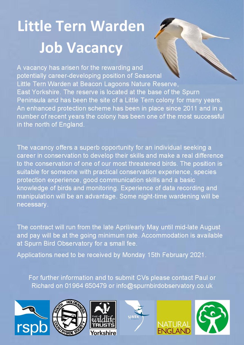 Spurn Bird Obs Spurnbirdobs Twitter