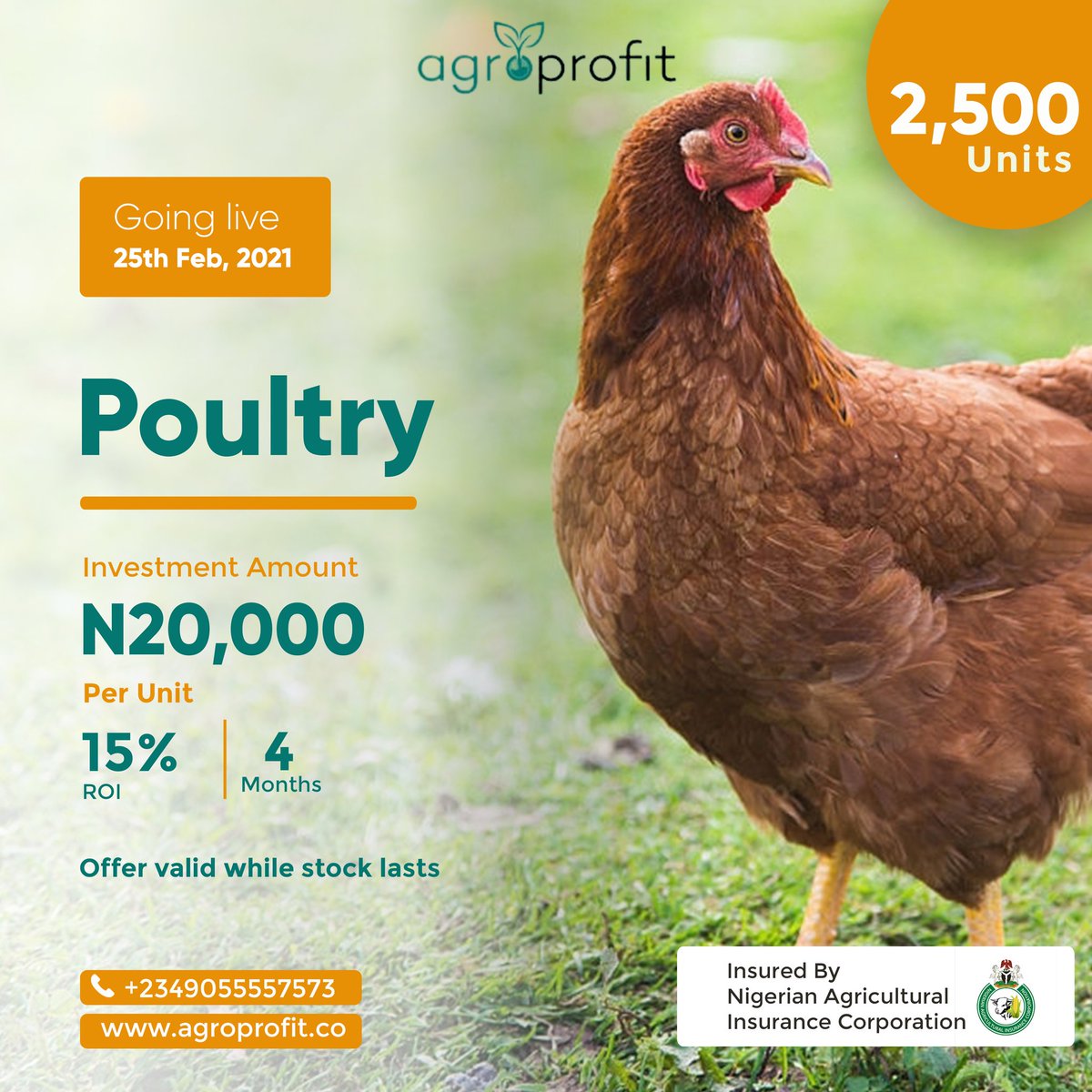 agroprofit's tweet photo. Our poultry farm investment is now open. We have about 2,500 units,  at 15% Return On Investment for 4 months.

Investments will kick off on the 25th of February 2021. To get ready and get started, visit our website (https://t.co/apMXrabuQt)to register or send a DM. T&amp;C's apply https://t.co/SPyYpnJ8Df