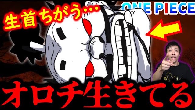 One Pieceが大好きな神木 スーパーカミキカンデ Auf Twitter 貴方が黒炭オロチなら見てください 貴方が黒炭オロチでないのなら見なくて大丈夫です 黒炭オロチだけに捧げる動画 見てるか 証拠あるからな ワンピース T Co Zdygsmra6w