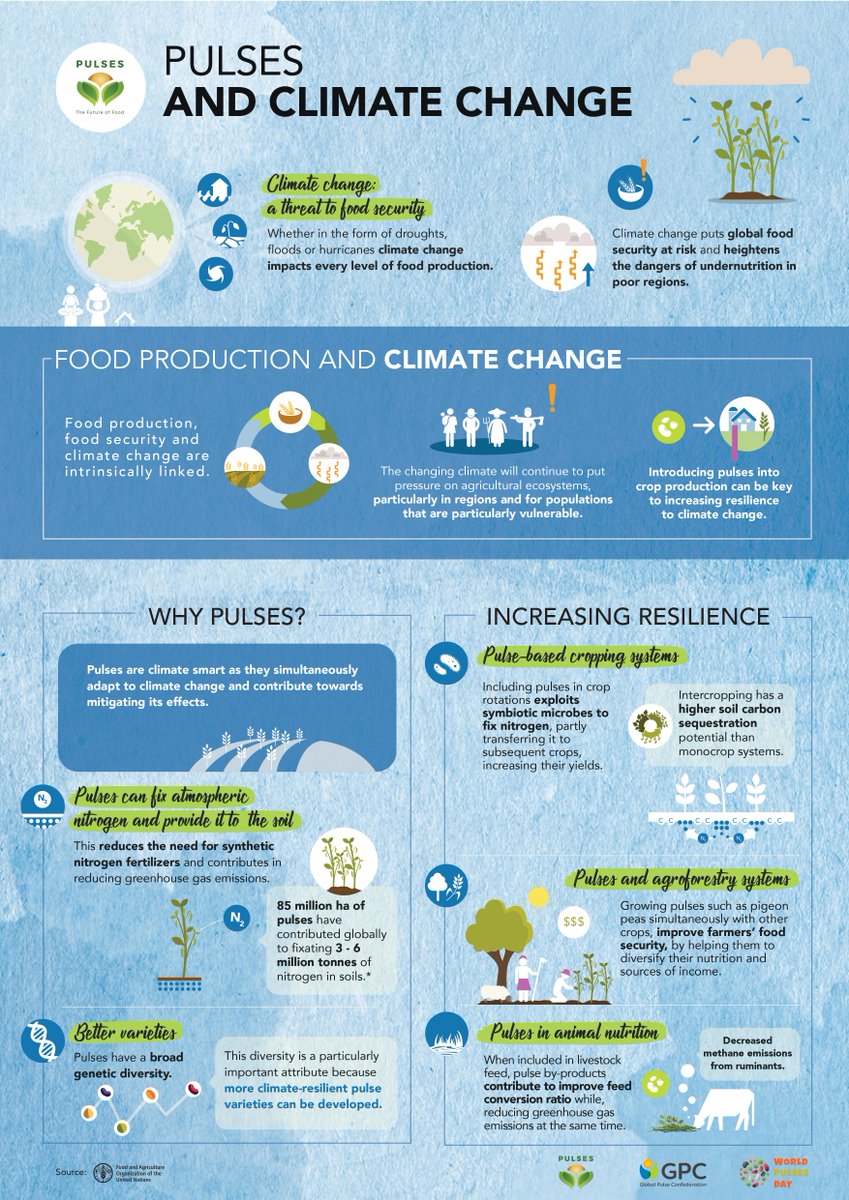 Today is #WorldPulsesDay!

🌍 Pulses can adapt to climate change and contribute mitigating its effects. 
🌱 Pulses enrich soils and reduce the need of chemical fertilizers.
💧 Pulses require little/low irrigation.

#sustainableagriculutre