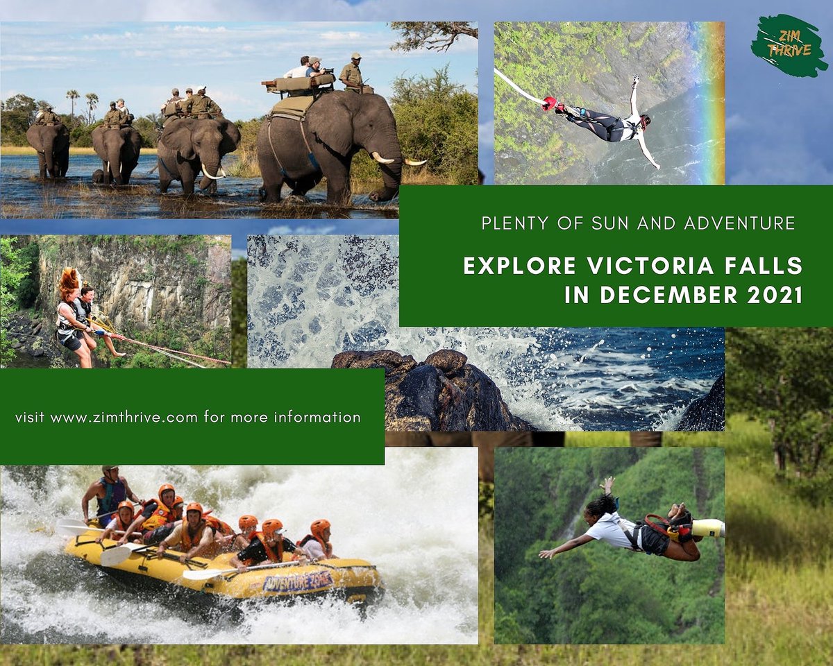zimbabwe2020's tweet photo. Explore Victoria Falls in December at #ZimThrive. Look out for our accommodation packages coming soon.
Visit https://t.co/GuKVBXQAge to register your interest.
#Zimthrive #Zimbabwe #togetherzimbabwean #homecoming #dzoka #siyabuya #buyela #buyelekhaya #VisitZimbabwe https://t.co/ERn8NfYydN
