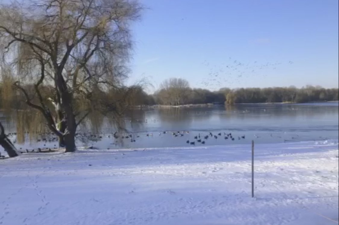 #nognietschaatsen #groteplas #delft #schaatsen #ijssurfen hoelang zou het nog duren?