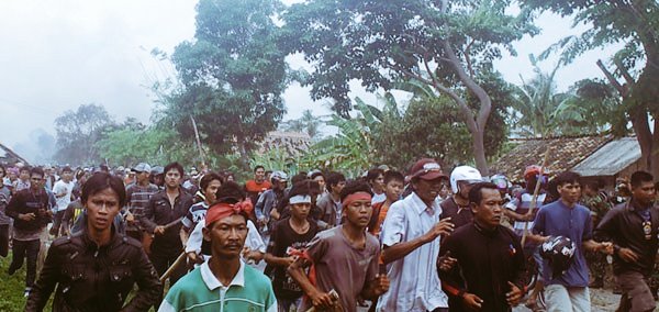 Suku madura dan konflik dayak Konflik Sampit: