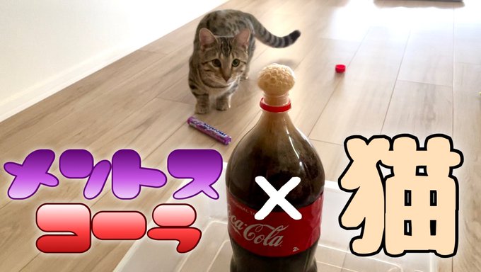メントスコーラのtwitterイラスト検索結果 メントスコーラのtwitterイラスト検索結果