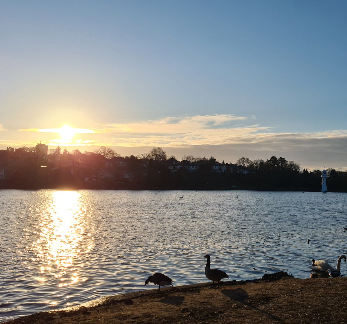chrissoalarch8's tweet image. View from the 'morning commute' before WFH @info_specific ☀️ #solarsnaps