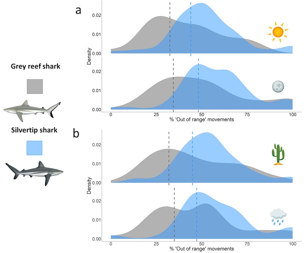 mjw_marine's tweet photo. Delighted to share our new @marine_science paper out in 
@Ecol_Evol today. 

Analysing detection gaps in acoustic telemetry data to infer differential movement patterns in fish

#openaccess here https://t.co/MPIP7D0xqG

 @kclgeography @ZSLScience @Bertarelli_fdn https://t.co/I6rWsYI8cs
