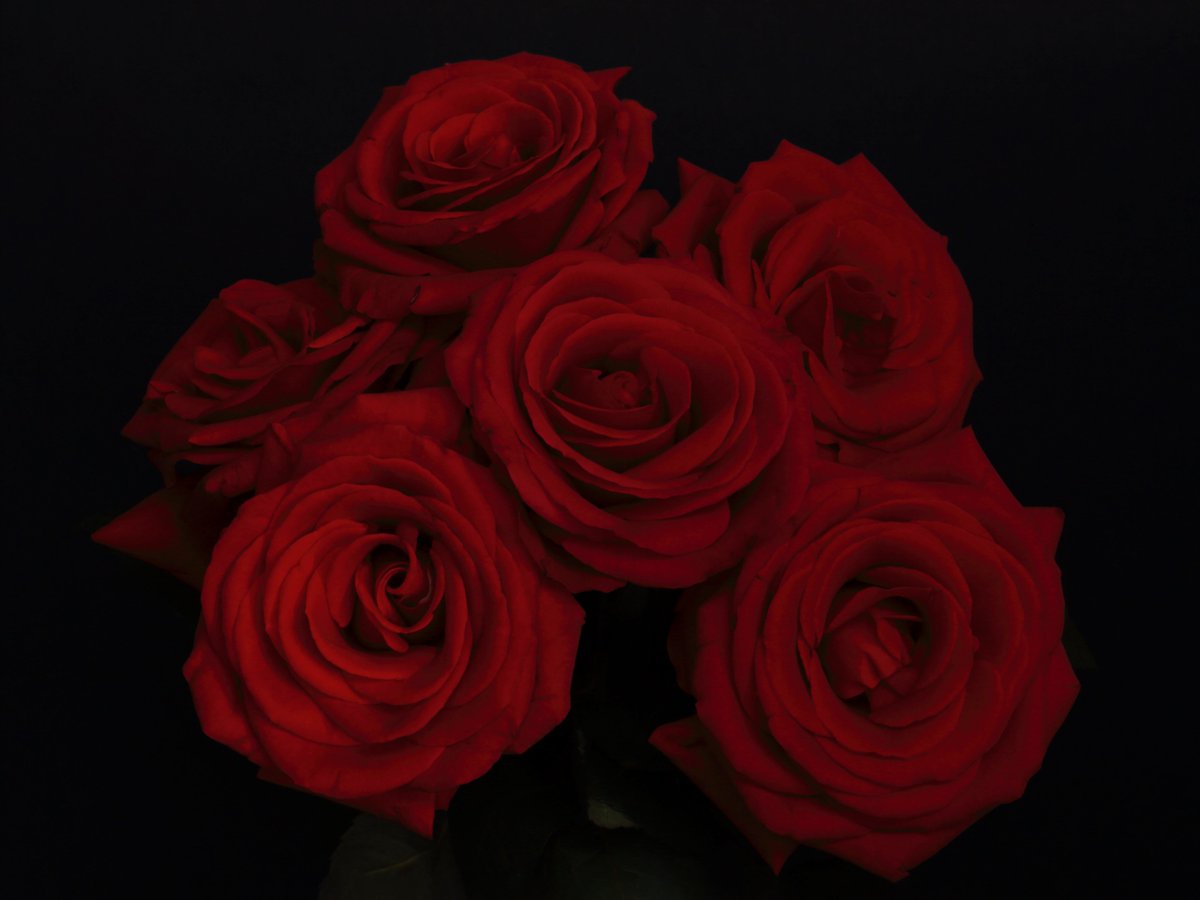 CPDPhotography's tweet photo. Leaving it late for Valentines card posting? We can write and post it directly to the person you choose and (royal mail permitting) it should arrive in time ♥
#ValentinesDay #valentinescards #postdirect #becuaseyoulovethem #sayyoulovethem
https://t.co/jKvFjz6fjr https://t.co/0Bc27Q1gPq