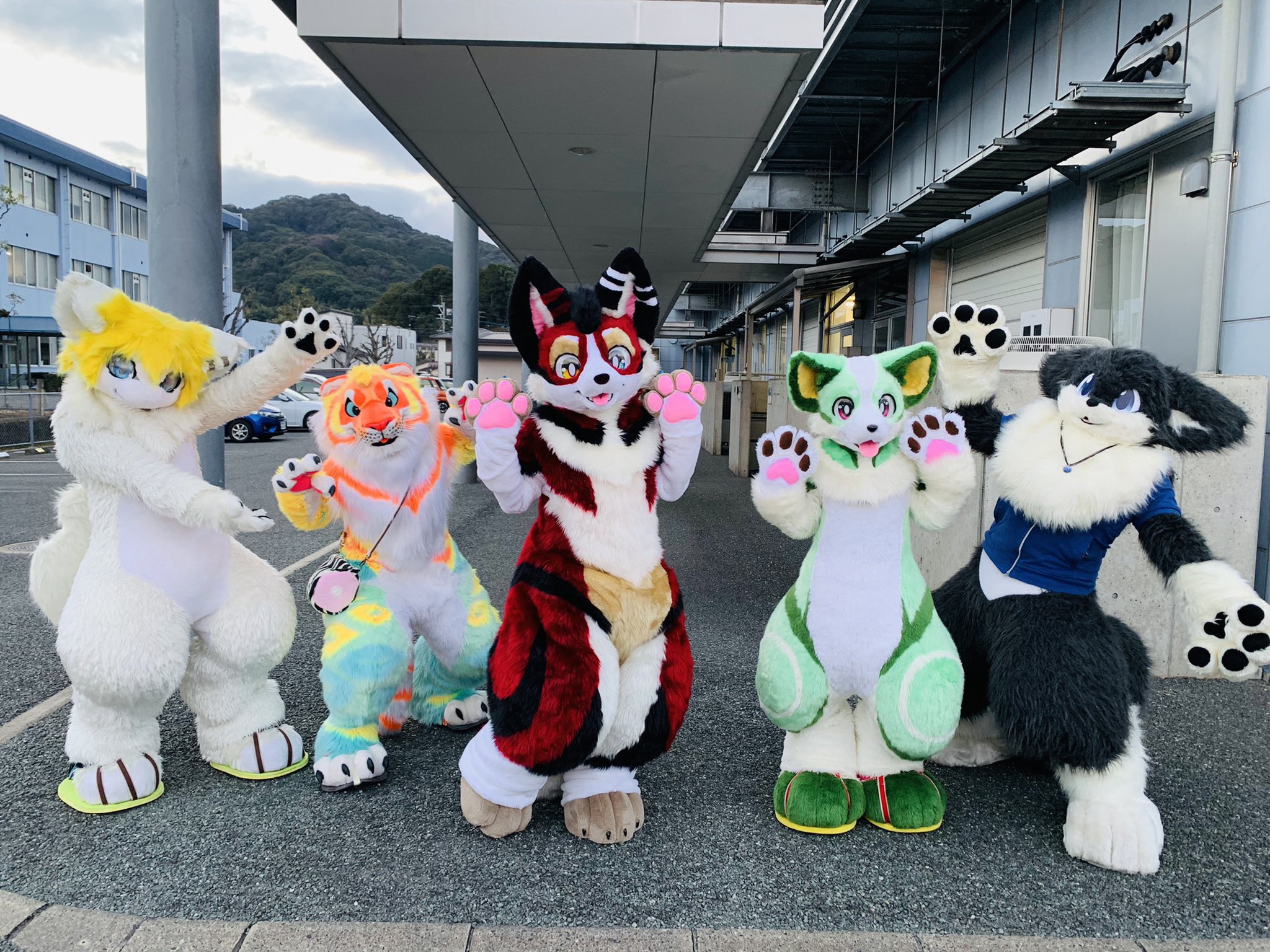 ケモノコネクト🐺🐲🐱 (@KemonoConnect) / X ケモノコネクト🐺🐲🐱 (@KemonoConnect) / X