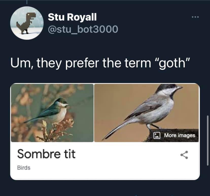 GothTopicPOD's tweet image. 