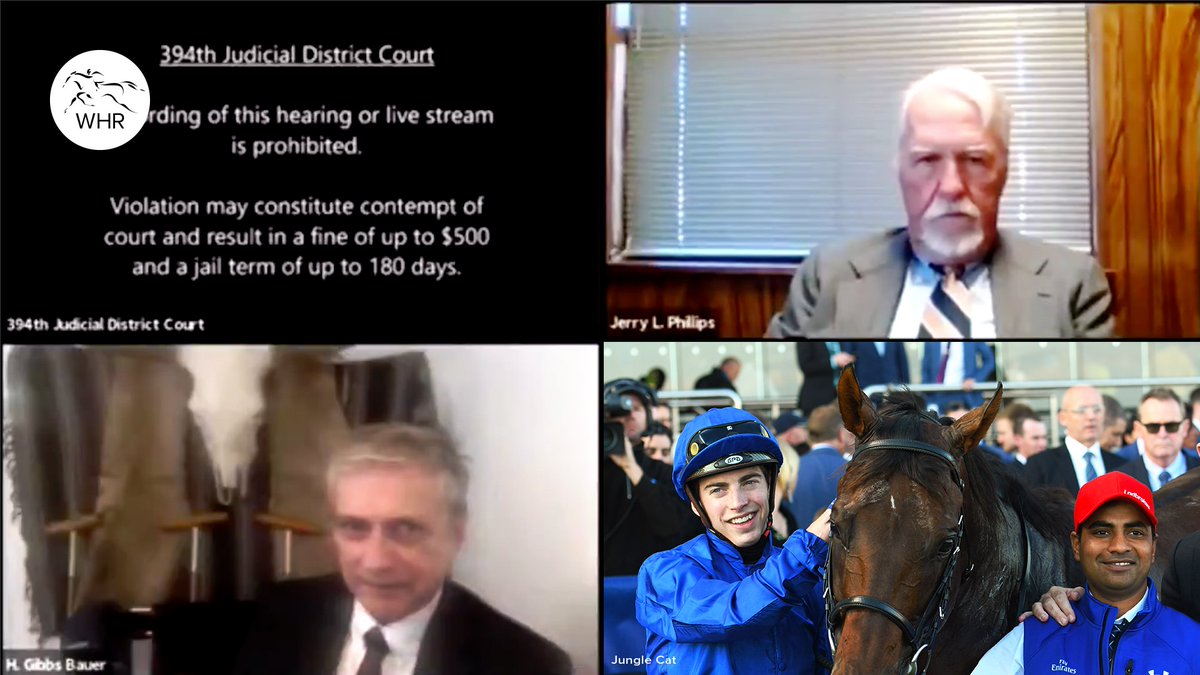 Jungle Cat. Also not a cat.  #IAmNotACat