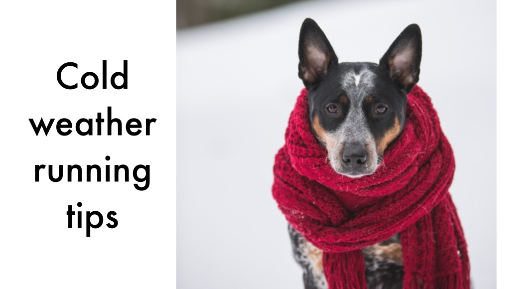 OKC Landrunners Running Club 🏃🏻‍♂️🏃🏽🏃🏼‍♀️ tweet media