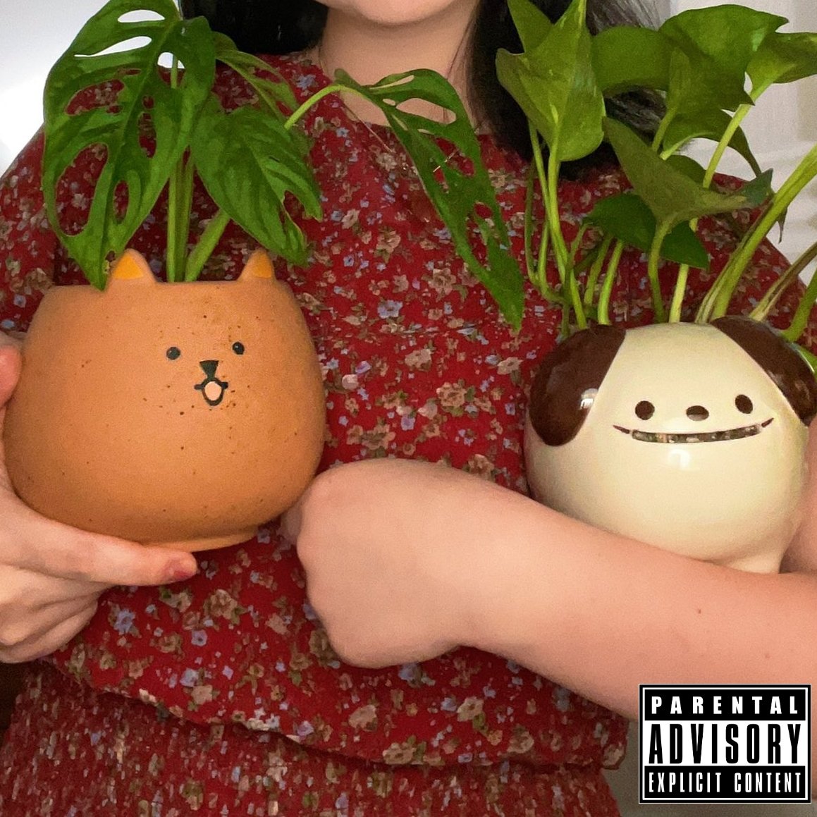 maiathinker's tweet photo. anything could be an album cover. https://t.co/jUDiHN1ZIy