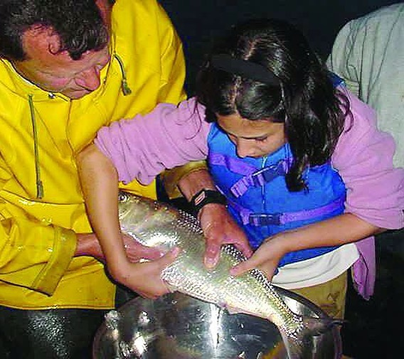 teamupstream's tweet photo. Tonight is our shad #ConservationCelebrityCheckIn ! Hear from Jim Cummings, an advocate for restoring the historic American Shad to the nation’s rivers, 5pm!
🐟🇺🇸🐟
#history #fishing #streamscience #river #fisheries #conservation @fieldandstream #historicfish #radasashad https://t.co/TpKCDq0a0h