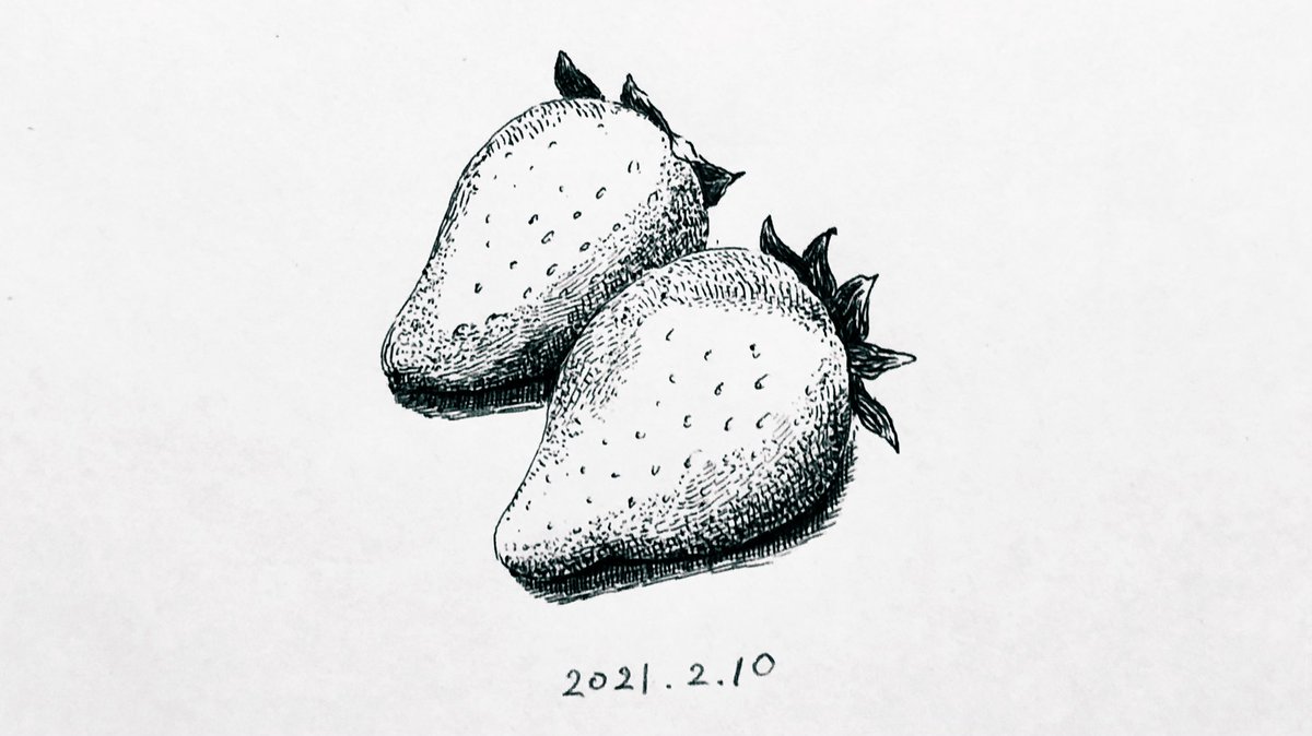 ねるこ ボールペン画 苺 アナログイラスト ペン画 1日1絵 芸術の輪