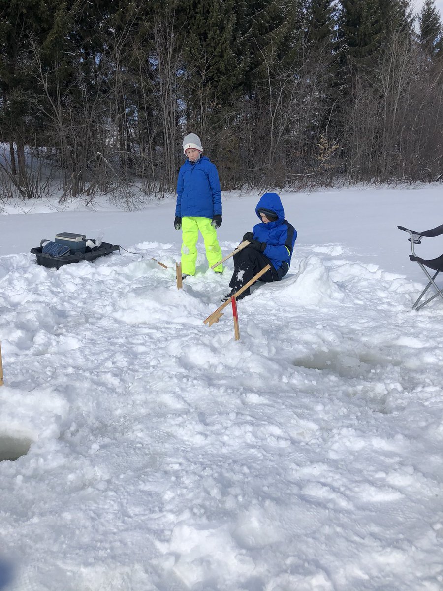 MurphyFamily7's tweet photo. We went ice fishing and scored 3 trout for tea! They were delicious https://t.co/AogYwi44BI