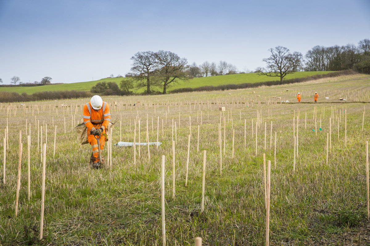 This winter HS2 is planting 300,000  #trees, bringing the total along our London – West Midlands route to over 730,000 planted. That’s well ahead of the 7 million target for our Green Corridor.