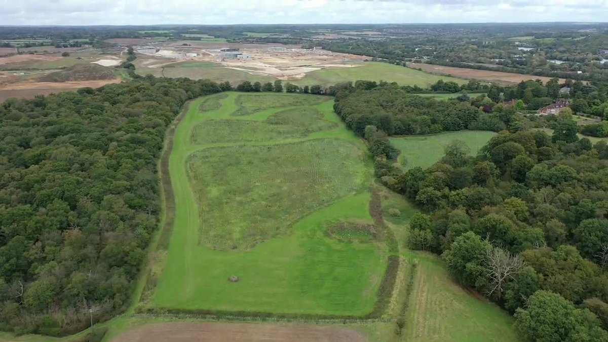 For example, on this site, we’ve planted 50,000 trees and 6 hectares of wildflower meadows on agricultural land. It's between two ancient woodlands, linking them to create richer and more diverse habitat.