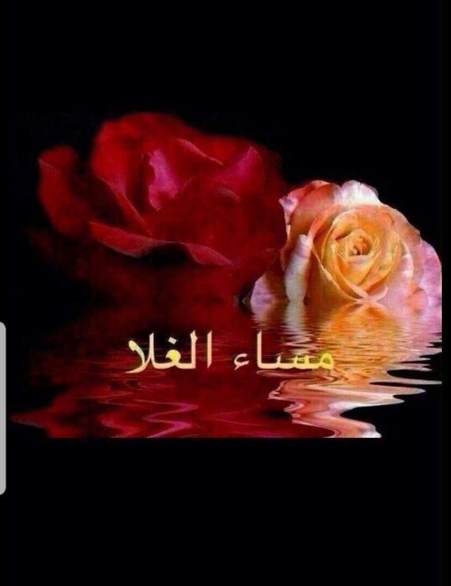 هناك أشياء جميلة لا تُرى بالعين بل نراها فقط بالقلب 
ومن يبحث عن جمال الروح  في زحمة البشر حتماً سيجده ."
🌺
#مسيتم_بالخير