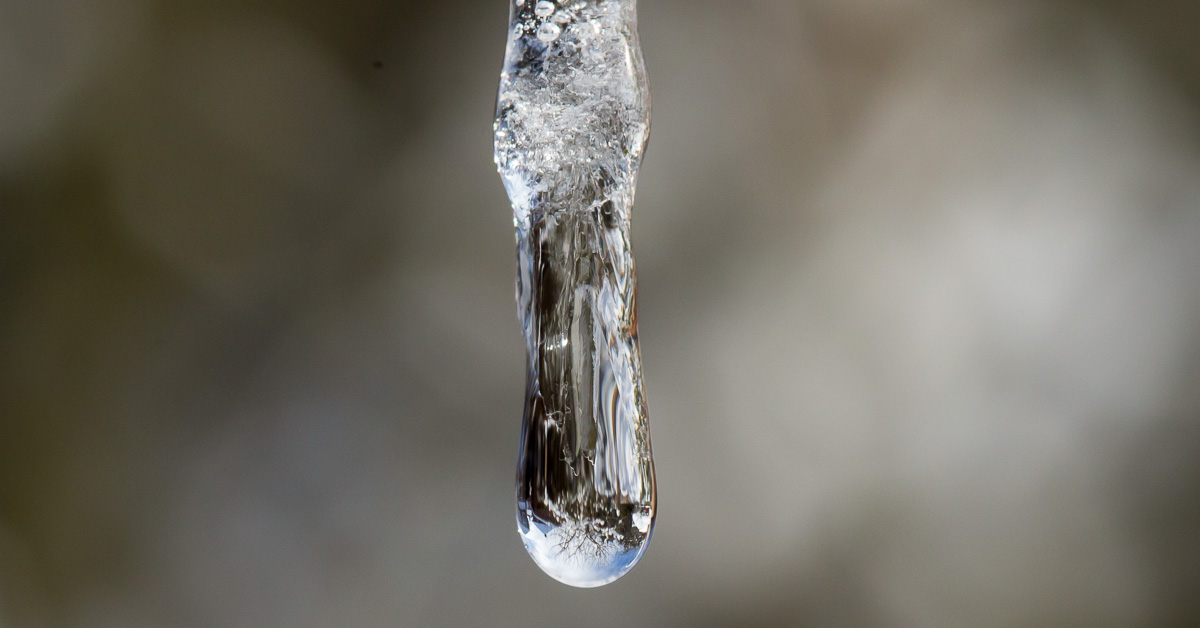 Simon Waters tweet media