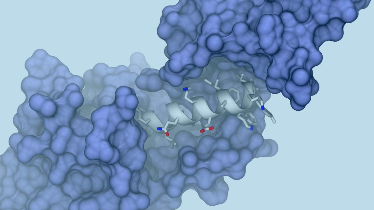 ProtagenProtein's tweet photo. How to determine the in-vivo efficacy and #safety of your molecule: The characterization of Higher Order Structure (#HOS) is a key aspect! #AnalyticsForBiologics #Biologics

Learn more about our unique expertise regarding #HOS here: https://t.co/gsDynx7oe9 https://t.co/oQaJ3aJ4l4
