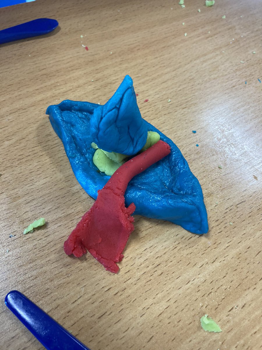 Mrs Smith (@mrssmithclifton) on Twitter photo Year 2 have had great fun this afternoon making these boats out of play dough! We even made the play dough together yesterday! <a href="/CliftonPrim/">CliftonPrimary</a> @MissShafiq_1 @MissHuntClifton <a href="/MissRoachford/">Miss A Roachford</a> <a href="/Miss_Hitchcock/">Mrs Sercombe</a> Year 2 have had great fun this afternoon making these boats out of play dough! We even made the play dough together yesterday! <a href="/CliftonPrim/">CliftonPrimary</a> @MissShafiq_1 @MissHuntClifton <a href="/MissRoachford/">Miss A Roachford</a> <a href="/Miss_Hitchcock/">Mrs Sercombe</a>